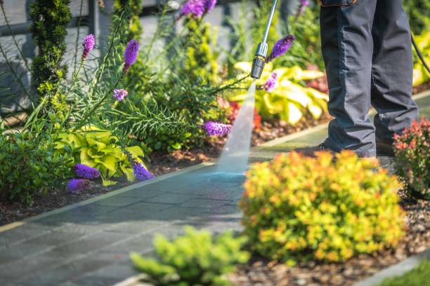 Trusted Roosevelt Gardens, FL Pressure Washing Services Experts