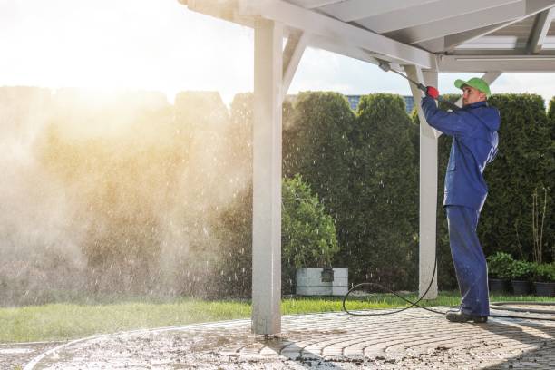 Best Building Exterior Washing  in Roosevelt Gardens, FL