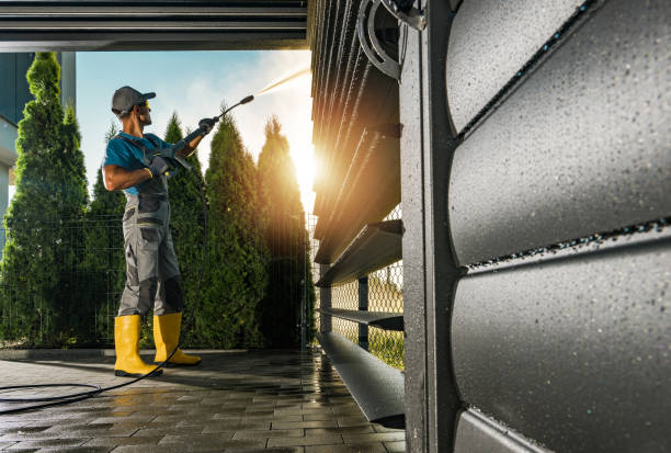 Animal Enclosure Cleaning in Roosevelt Gardens, FL